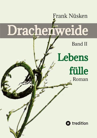 Drachenweide 2, Frank Nüsken - Paperback - 9783384191878