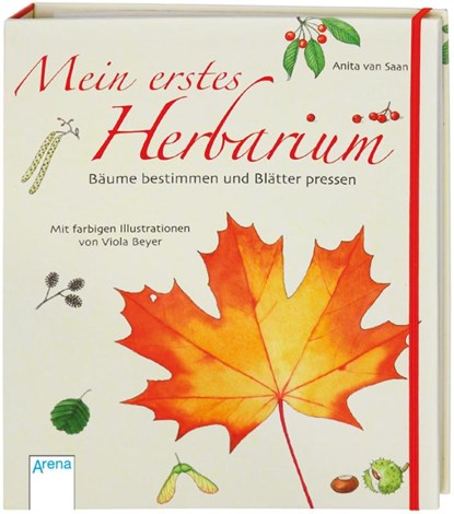 Mein erstes Herbarium - Bäume bestimmen und Blätter pressen, Anita van Saan - Gebonden - 9783401452562