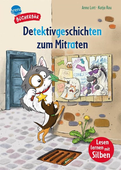 Detektivgeschichten zum Mitraten, Anna Lott - Gebonden - 9783401717777