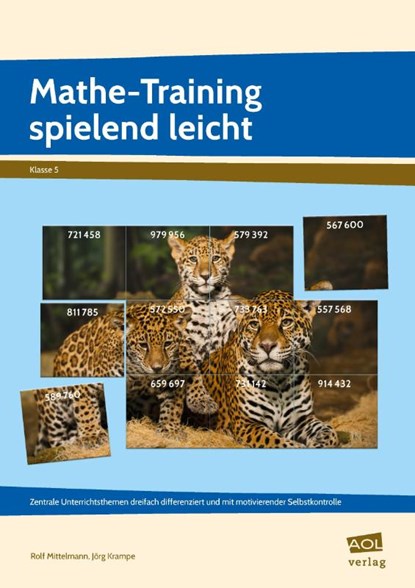 Mathe-Training spielend leicht - 5. Klasse, Rolf Mittelmann ; Jörg Krampe - Gebonden - 9783403106791
