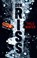 Der Riss, Thilo Winter - Paperback - 9783404188819