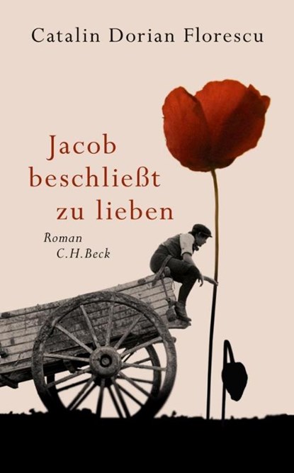 Jacob beschließt zu lieben, Catalin Dorian Florescu - Gebonden - 9783406612671