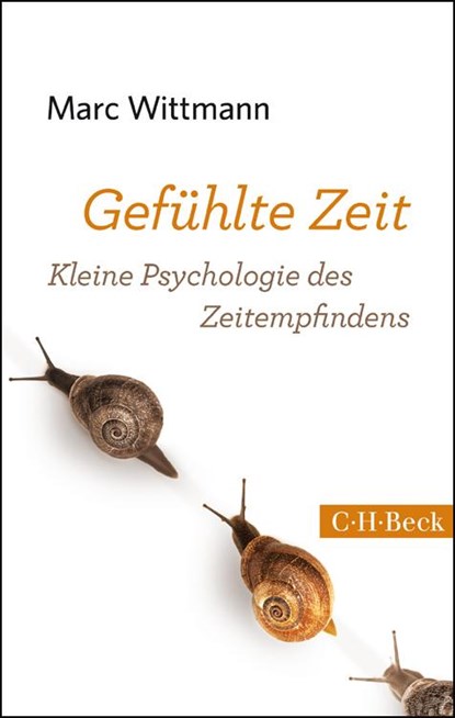 Gefühlte Zeit, Marc Wittmann - Paperback - 9783406664274