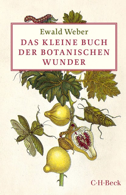 Das kleine Buch der botanischen Wunder, Ewald Weber - Gebonden - 9783406696183