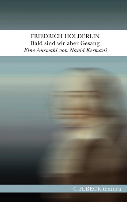 Bald sind wir aber Gesang, Friedrich Hölderlin - Gebonden - 9783406742309