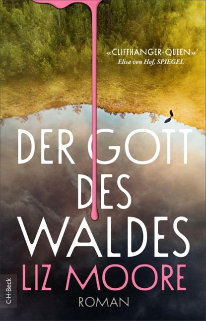 Der Gott des Waldes, Liz Moore - Paperback - 9783406851674