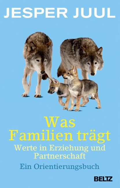 Was Familien trägt, Jesper Juul - Paperback - 9783407229502