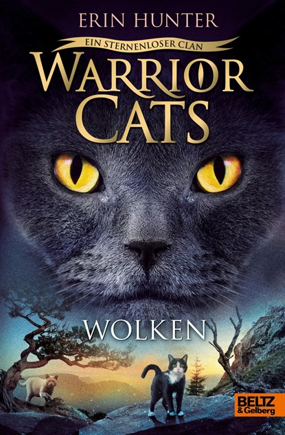 Warrior Cats 8/02. Ein sternenloser Clan. Wolken, Erin Hunter - Gebonden - 9783407757616