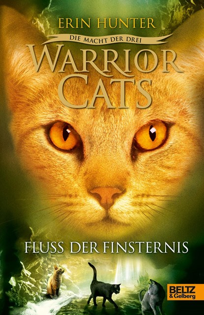 Warrior Cats Staffel 3/02. Die Macht der drei. Fluss der Finsternis, Erin Hunter - Gebonden - 9783407811189