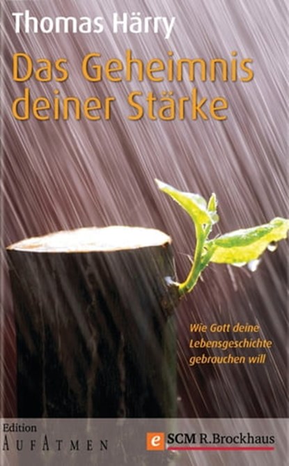 Das Geheimnis deiner Stärke, Thomas Härry - Ebook - 9783417210088