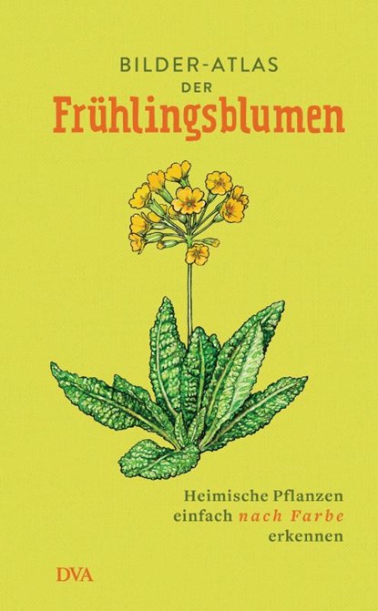 Bilder-Atlas der Frühlingsblumen, niet bekend - Gebonden - 9783421040657