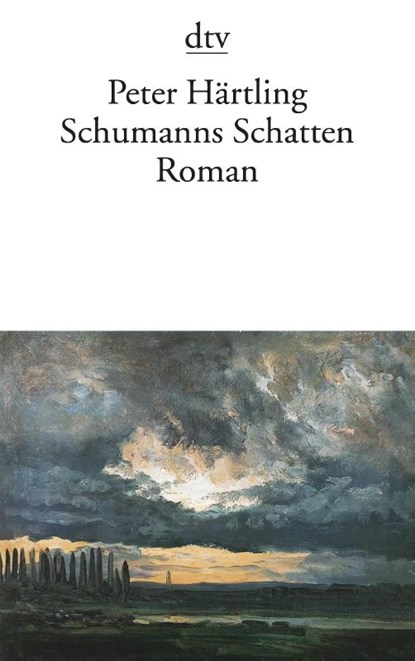 Schumanns Schatten, Peter Härtling - Paperback - 9783423125819