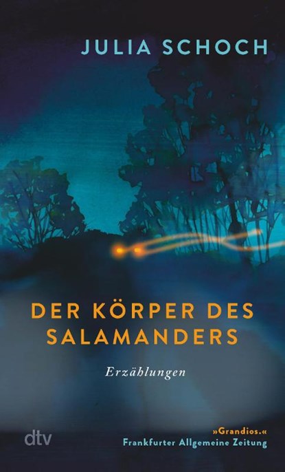 Der Körper des Salamanders, Julia Schoch - Paperback - 9783423148528