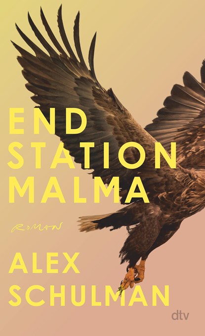 Endstation Malma, Alex Schulman - Gebonden - 9783423283533