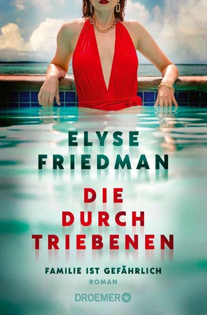 Die Durchtriebenen, Elyse Friedman - Paperback - 9783426309698