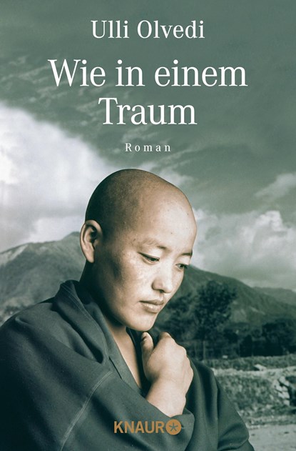 Wie in einem Traum, Ulli Olvedi - Paperback - 9783426878163