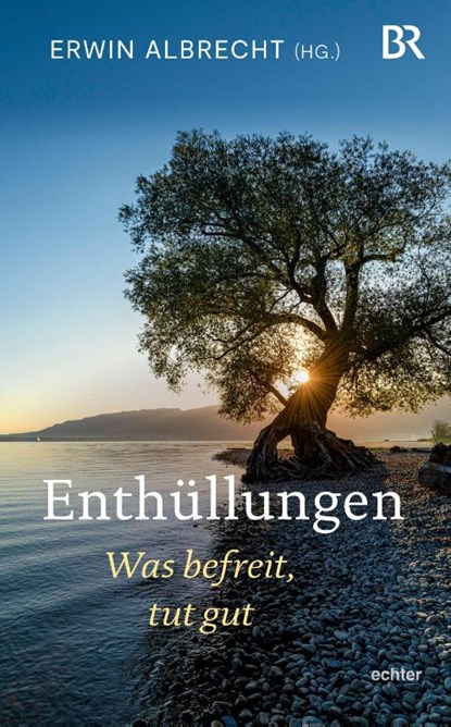 Enthüllungen, Erwin Albrecht - Gebonden - 9783429058876