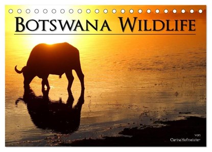 Botswana Wildlife (Tischkalender 2025 DIN A5 quer), CALVENDO Monatskalender, Carina Hofmeister - Paperback - 9783435757831