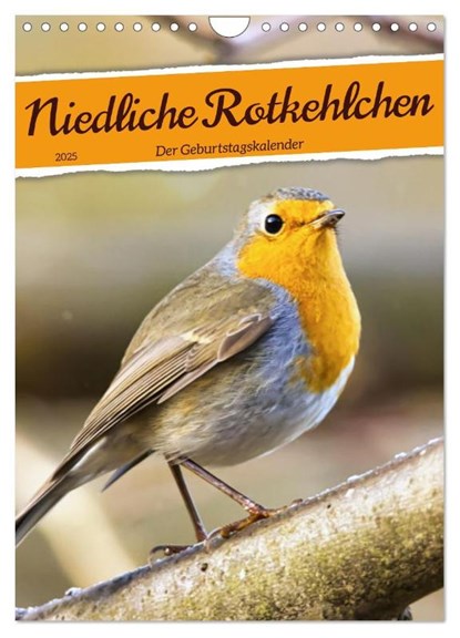 Niedliche Rotkehlchen (Wandkalender 2025 DIN A4 hoch), CALVENDO Monatskalender, Sabine Löwer - Paperback - 9783435881208