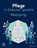 Pflege in Einfacher Sprache: Bewegung, Elsevier GmbH - Paperback - 9783437267161