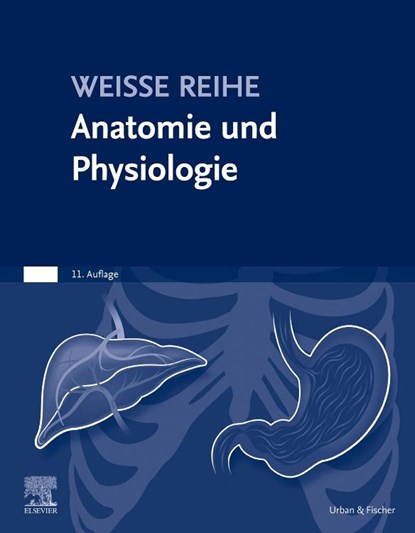 Anatomie und Physiologie, Elsevier Gmbh - Paperback - 9783437286438