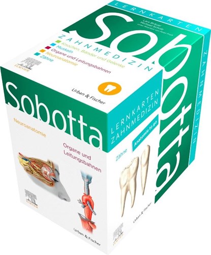 Sobotta Lernkarten Zahnmedizin, Lars Bräuer ; Michael Scholz ; Peter Proff - Losbladig - 9783437411670