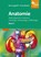 BENNINGHOFF DRENCKHAHN ANATOMIE, DETLEV DRENCKHAHN - Gebonden - 9783437423420