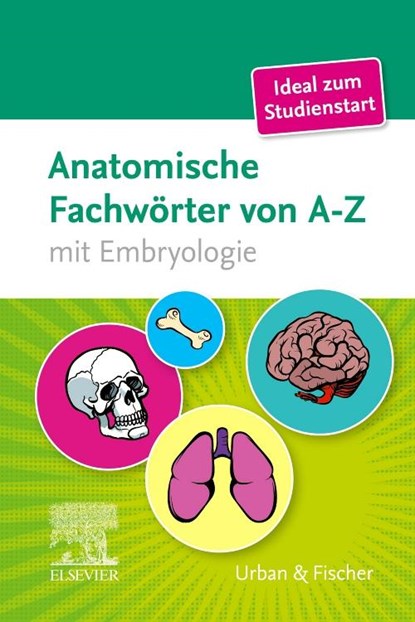 Anatomische Fachwörter von A-Z, Elsevier Gmbh - Paperback - 9783437431968