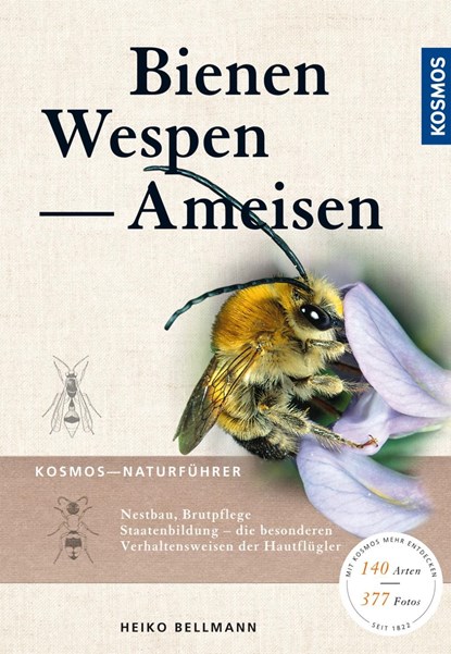Bienen, Wespen, Ameisen, Heiko Bellmann - Paperback - 9783440146675