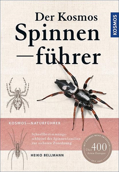 Der Kosmos Spinnenführer, Heiko Bellmann - Paperback - 9783440148952