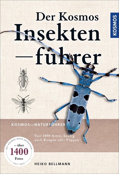Der KOSMOS Insektenführer, Heiko Bellmann - Paperback - 9783440155288