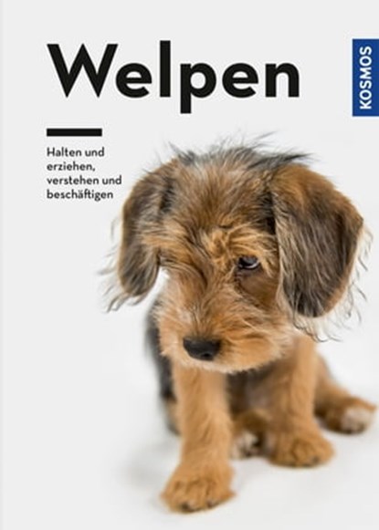 Welpen, Perdita Lübbe-Scheuermann ; Dr. Barbara Schöning ; Kristina Falke - Ebook - 9783440161463