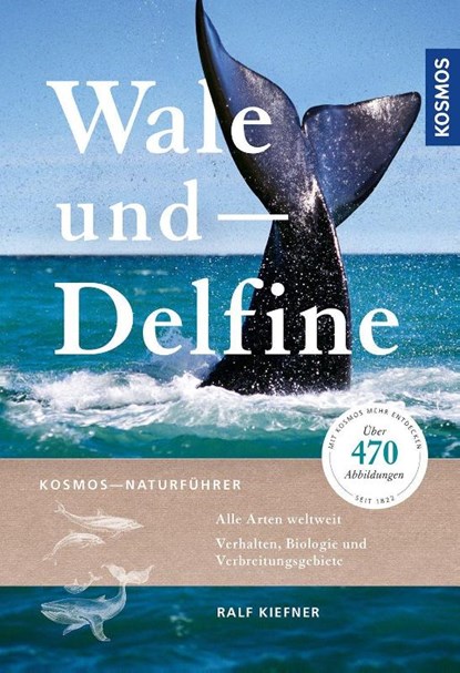 Wale und Delfine, Ralf Kiefner - Paperback - 9783440163399