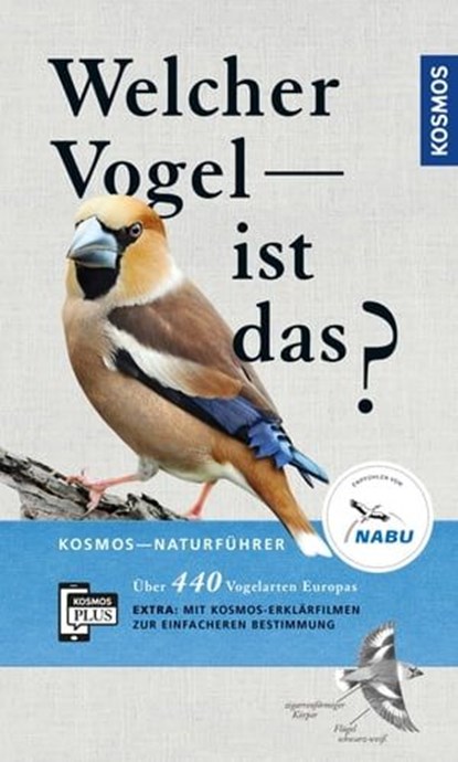 Welcher Vogel ist das?, Volker Dierschke - Ebook - 9783440164815
