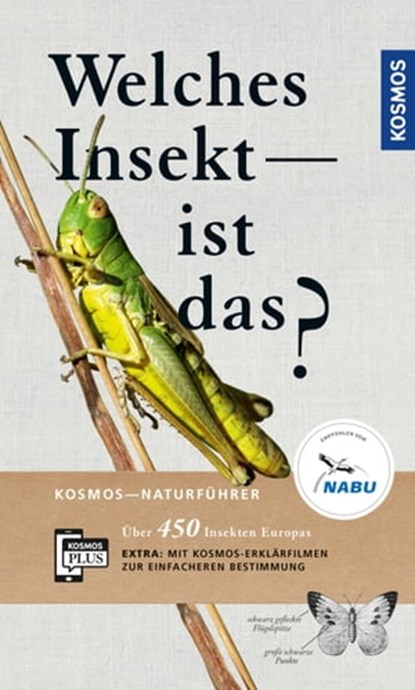 Welches Insekt ist das?, Heiko Bellmann - Ebook - 9783440164846