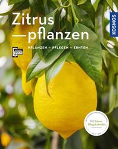 Zitruspflanzen (Mein Garten), Dominik Große Holtforth - Paperback - 9783440167298
