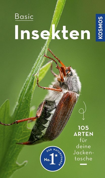 BASIC Insekten, Roland Gerstmeier - Paperback - 9783440173916