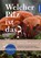 Welcher Pilz ist das?, Markus Flück - Paperback - 9783440174838