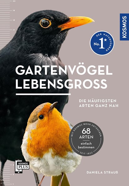 Gartenvögel lebensgroß, Daniela Strauß - Paperback - 9783440178614