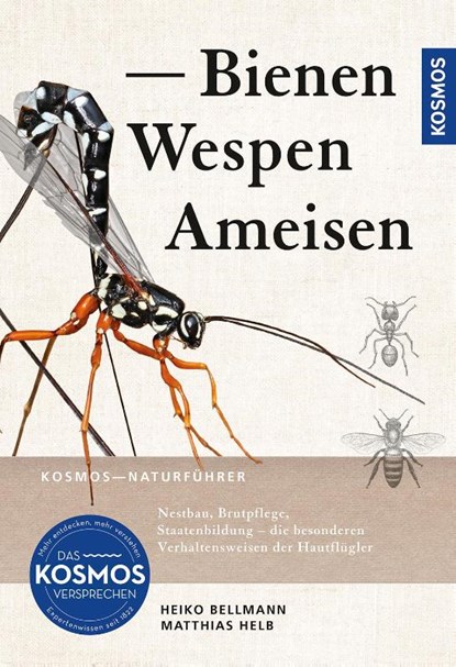 Bienen, Wespen, Ameisen, Heiko Bellmann ; Matthias Helb - Paperback - 9783440179826