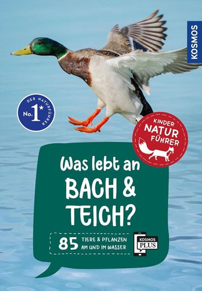 Was lebt an Bach und Teich? Kindernaturführer, Anita van Saan - Paperback - 9783440182116