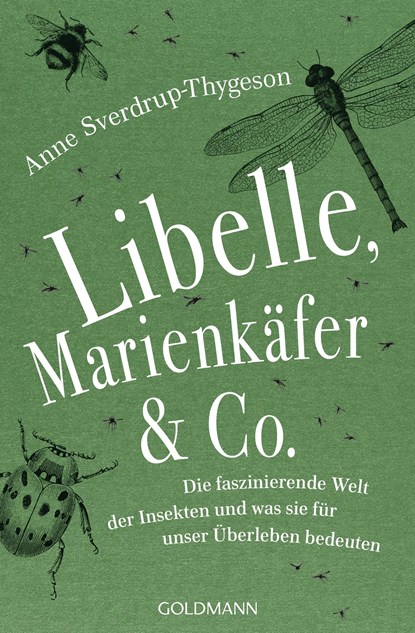 Libelle, Marienkäfer & Co., Anne Sverdrup-Thygeson - Paperback - 9783442159819