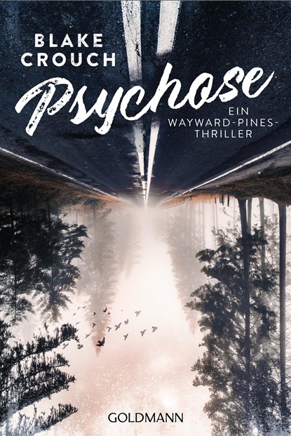 Psychose, Blake Crouch - Paperback - 9783442489701