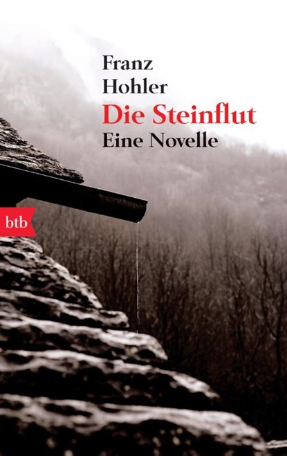 Die Steinflut, Franz Hohler - Paperback - 9783442742691