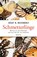 Schmetterlinge, Josef H. Reichholf - Gebonden - 9783446260337