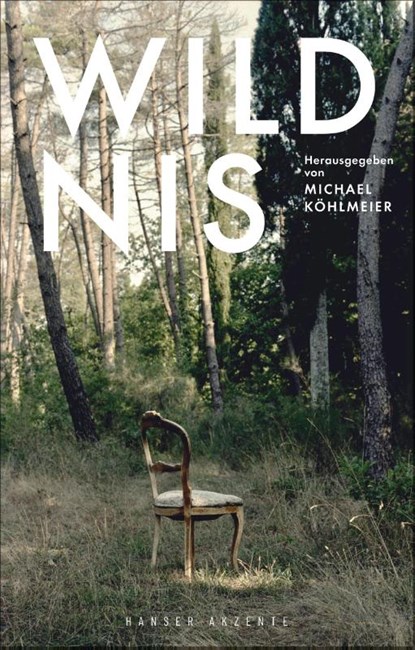 Akzente 3 / 20, Michael Köhlmeier - Paperback - 9783446267299