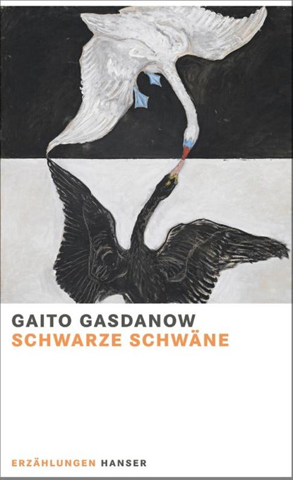 Schwarze Schwäne, Gaito Gasdanow - Gebonden - 9783446267510