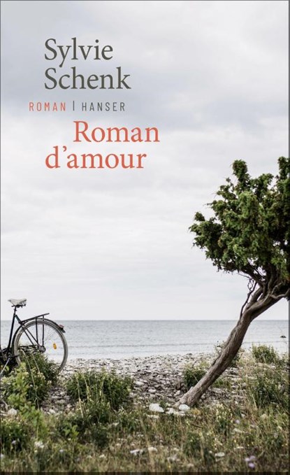 Roman d'amour, Sylvie Schenk - Gebonden - 9783446269224