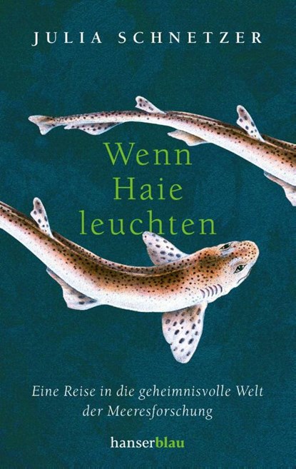 Wenn Haie leuchten, Julia Schnetzer - Paperback - 9783446274761