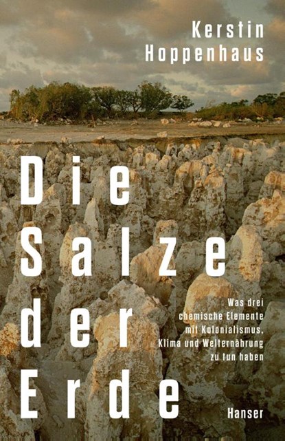 Die Salze der Erde, Kerstin Hoppenhaus - Gebonden - 9783446279704